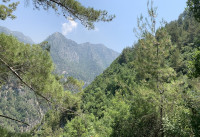 Jabal Moussa Biosphere Reserve